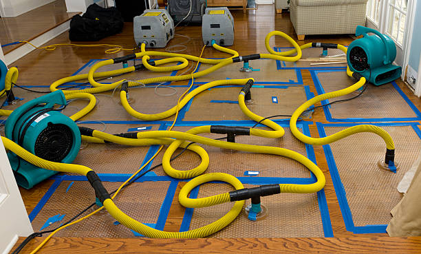 Professional Burst Pipe Water Damage technician working in Fairland, MD